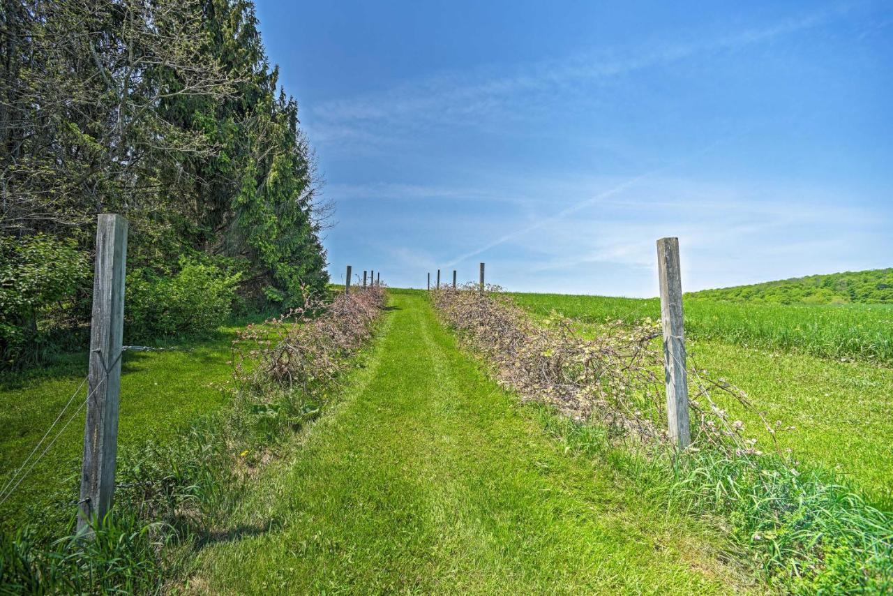 Country Escape With Sauna, 10 Mi To Cooperstown Richfield Springs Zewnętrze zdjęcie