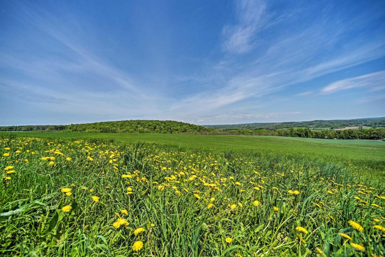 Country Escape With Sauna, 10 Mi To Cooperstown Richfield Springs Zewnętrze zdjęcie