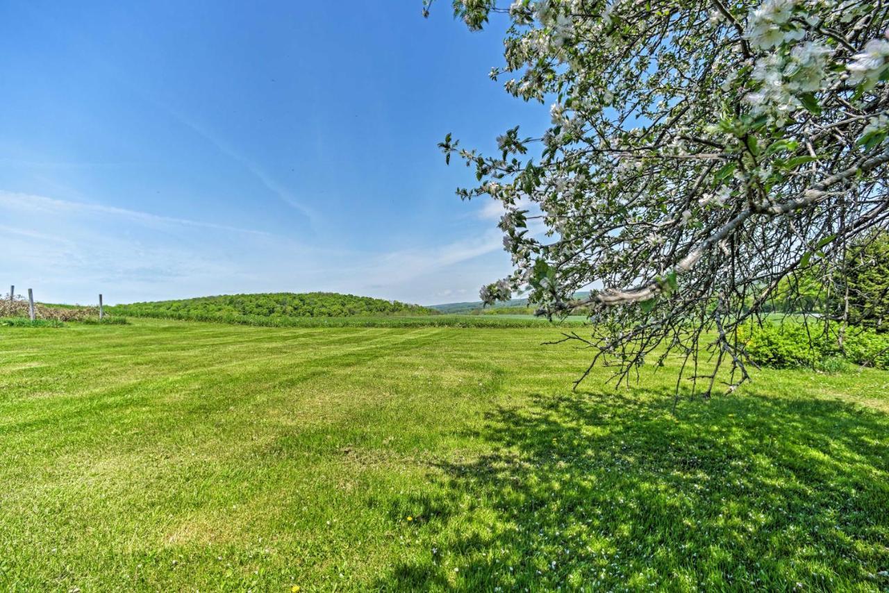 Country Escape With Sauna, 10 Mi To Cooperstown Richfield Springs Zewnętrze zdjęcie